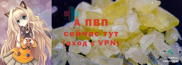 крисы Абаза