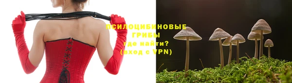крисы Абаза