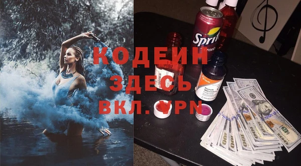 крисы Абаза