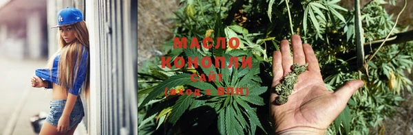 крисы Абаза