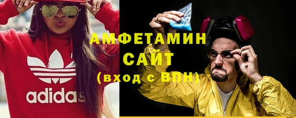 крисы Абаза