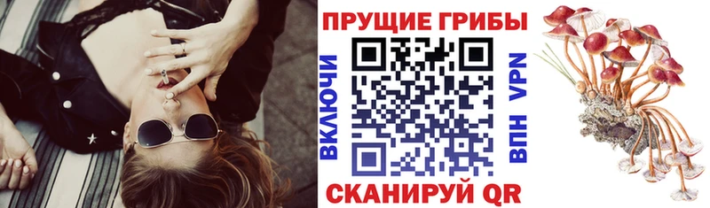 МЕГА ONION  купить  сайты  Юхнов  Псилоцибиновые грибы прущие грибы 